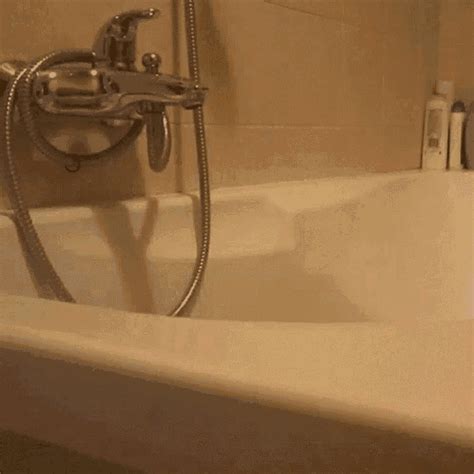 bathtub porn gif|Bathtub sex gifs